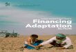 Financing Adaptation