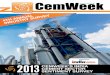 2013 CemWeek's India Cement Sector Sentiment Survey
