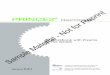 PRINCE2 Practitioner Workbook with Exam (Foundation + Practitioner) for Trainer