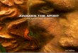 Awaken the Spirit - The Sacred Texts of Jesus