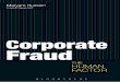 Corporate fraud sampler 2