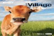 Your Village Life - Issue 10