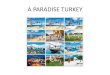 ARZU YUNGUL - A paradise Turkey