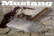 Mustang Magazine Volume 6, Issue 6