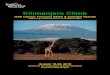 Mt Kilimanjaro & safari - 2010