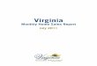 2011-07 Virginia Home Sales Report