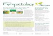 Aug-Sept 2012 Phytopathology News