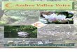 Amber Valley Voice Alfreton and Broadmeadows Edition May 2012