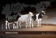 Holstein Sire Listing
