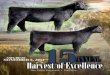 Harvest of Excellence Sale Catalog 2011