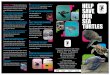 Save our Sea Turtles Brochure