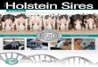 August 2013 Holstein Sire Catalog