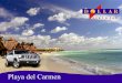 Playa del Carmen Dollar Rent a Car