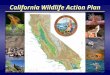 California Wildlife Action Plan Overview