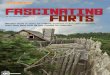 Fascinating Forts