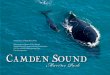Camden Sound Submission