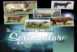 2011 Midwest Shorthorn Spectacular Sale