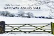 2013 Gateway Angus Sale