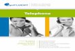 goFLUENT Telephone Product Sheet (DE)