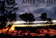 Redesdale - After the fire