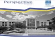 Perspectives MMCi Newsletter
