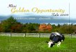 Illini Golden Opportunity Sale 2009