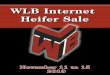 WLB Internet Heifer Sale