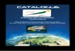 Catalogue Global business enerfy