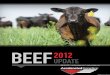 2012 Beef Sire Update