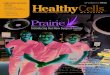 September Peoria Healthy Cells 2012