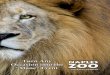 Naples Zoo Events Guide