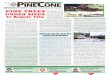 Pine cone newsletter