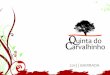 Presentation of Quinta do Carvalhinho