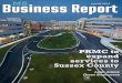 MS Business Report