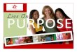Soul Purpose Business Opportunity