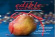 Edible San Diego - Winter 2011 Issue