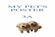 PET POSTER PROJECT