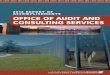 Audit and Consulting Services: 2012 Report