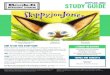 Skippyjon Jones Study Guide