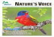 Nature's Voice June July 2012