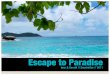 Escape to Paradise - Seychelles 2011
