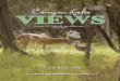 Canyon Lake Views Magazine - November 2011
