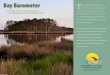 Bay Barometer: A Health and Restoration Assessment ofthe Chesapeake Bay and Watershed in 2009