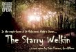 The Starry Welkin flyer