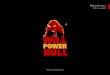 Will power bull  logo manual