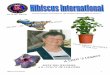 Hibiscus International #50