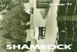 Shamrock 1977.10