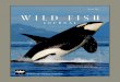 2007 Wild Fish Journal