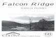 Colony Homes Falcon Ranch