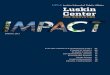 Luskin Center Impact  Report 2013